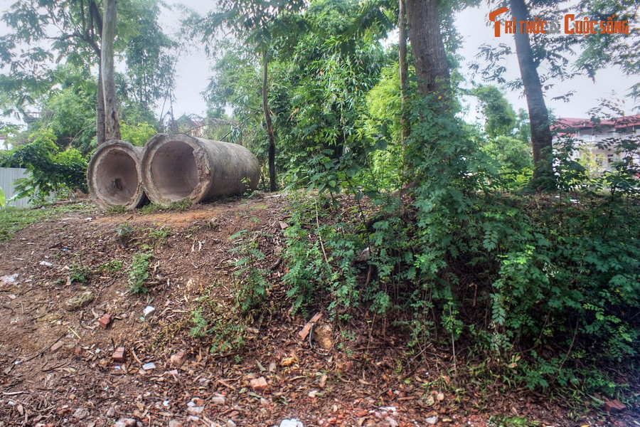 Thành ngoại cũng không có hình dáng rõ ràng, dài hơn 8.000m, cao trung bình 3–4 m (có chỗ tới hơn 8 m).