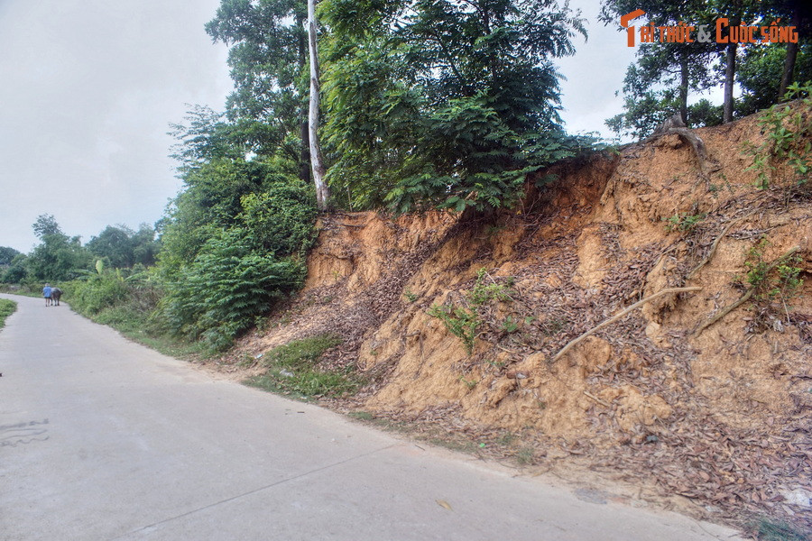 Thành trung là một vòng thành không có khuôn hình cân xứng, dài 6.500 m, nơi cao nhất là 10 m, mặt thành rộng trung bình 10 m, có bốn cửa ở các hướng Đông, Bắc, Tây Bắc và Tây Nam.