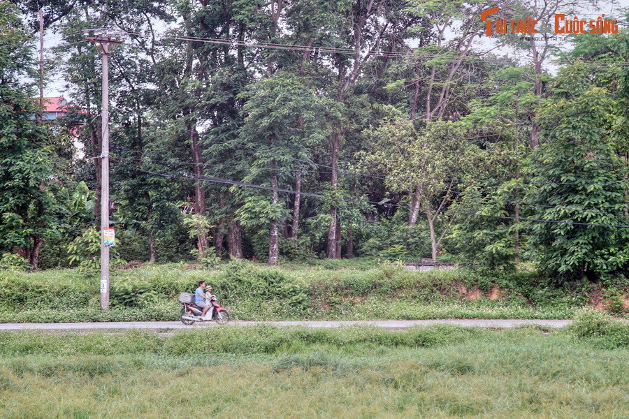 Tương truyền, tòa thành này gồm 9 vòng xoáy trôn ốc, nhưng căn cứ trên dấu tích hiện còn, các nhà khoa học nhận thấy thành có 3 vòng, trong đó vòng thành nội rất có thể được làm về sau, dưới thời Ngô Quyền.