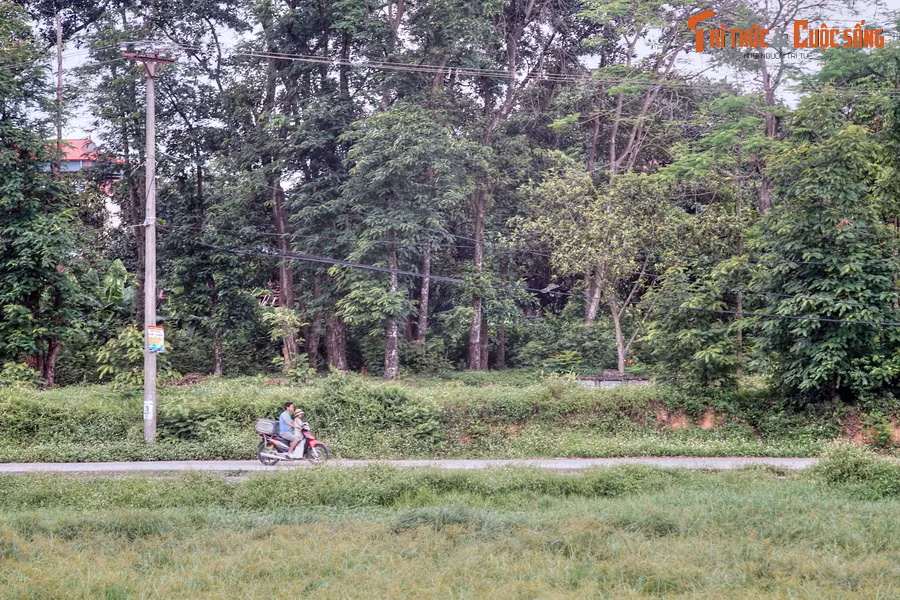 Tương truyền, tòa thành này gồm 9 vòng xoáy trôn ốc, nhưng căn cứ trên dấu tích hiện còn, các nhà khoa học nhận thấy thành có 3 vòng, trong đó vòng thành nội rất có thể được làm về sau, dưới thời Ngô Quyền.