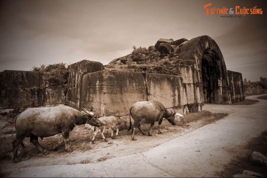 Việc dời đô về An Tôn của Hồ Quý Ly là để phòng chống giặc xâm lăng từ phía bắc là chủ yếu. Mặt khác, ông muốn rời Thăng Long bởi đó là nơi gắn với vương hầu quý tộc nhà Trần gần hai thế kỷ.