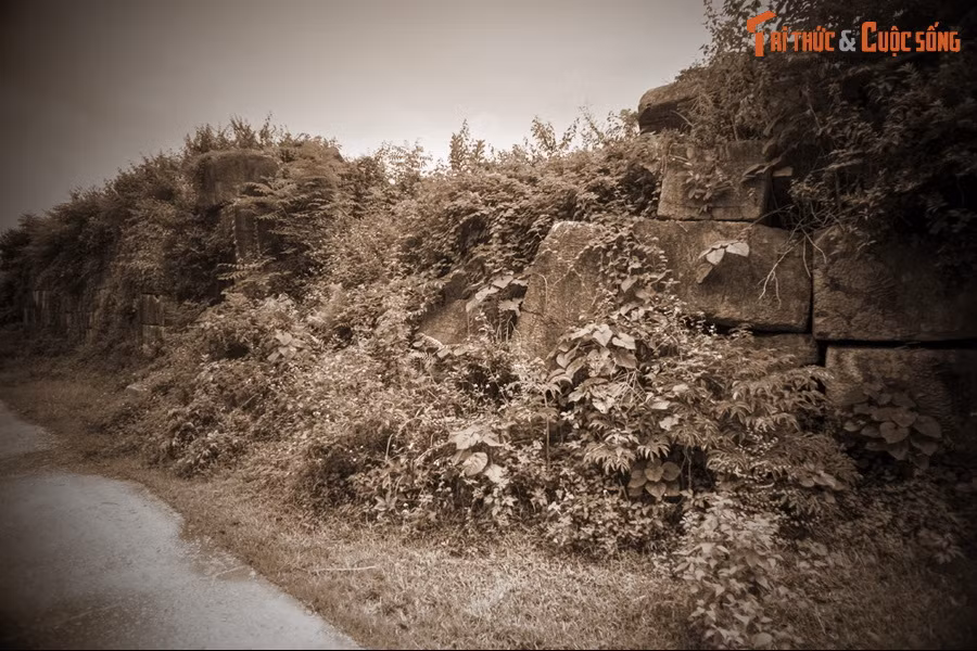 Cái "loạn" thể hiện ở sự bất lực của bộ máy nhà nước quý tộc nhà Trần, ở mâu thuẫn giữa Hồ Quý Ly và vương hầu quý tộc và ở nguy cơ xâm lược của kẻ thù kể cả phía Bắc và phía Nam. Vì vậy, Hồ Quý Ly phải dời đô đến nơi đất hiểm.