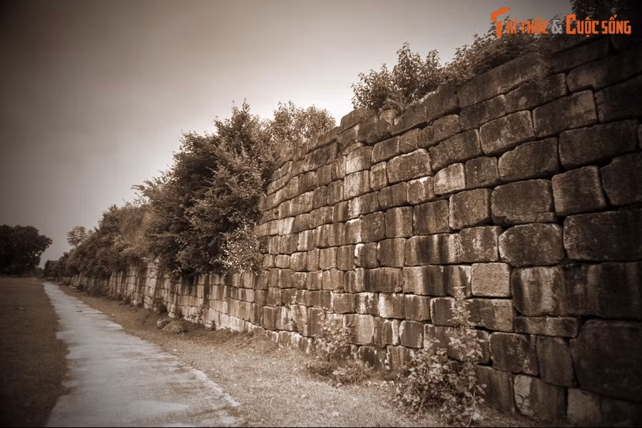 Tầng lớp vương hầu quý tộc này đang là đối thủ một mất một còn của ông. Do vậy, việc dời đô là ý muốn chủ quan của Hồ Quý Ly nhưng hoàn toàn không phiêu lưu, được Hồ Quý Ly tính toán cân nhắc cẩn thận.