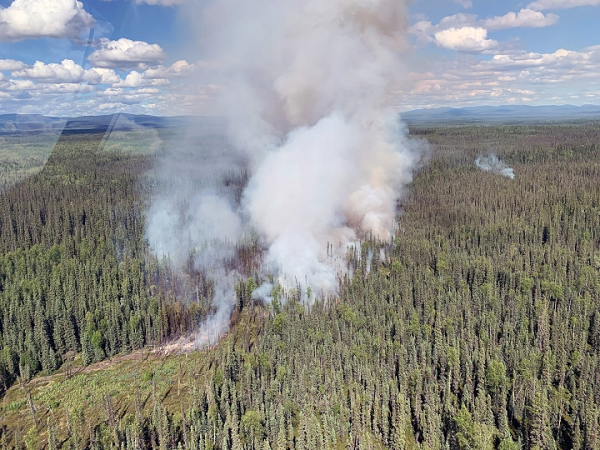 Đáng báo động hơn, Trung tâm Điều phối liên ngành Alaska và Trung tâm Cứu hỏa liên ngành Quốc gia Mỹ báo cáo, có tới... 210 đám cháy đang hoạt động trên khắp tiểu bang, trong đó có 42 vụ cháy lớn.