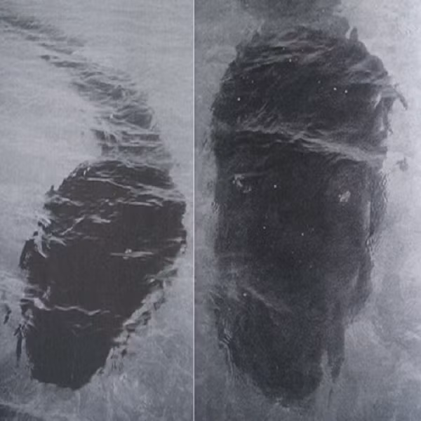 Năm 1964, nhiếp ảnh gia Robert Le Breton Serrec đã chụp được ảnh sinh vật bí ẩn với hình dáng nòng nọc khổng lồ dài đến 25m bơi chậm rãi tiến về phía họ ở đảo Hook, thuộc vùng Queensland, Australia. Vào thời điểm đó phần mềm chỉnh sửa hình ảnh Photoshop chưa xuất hiện nên nhiều người cho rằng bức ảnh này là thật.