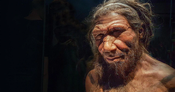 Đó là do, trong cơ thể của những người lai với người Neanderthals có một biến thể trong các enzyme chịu trách nhiệm phân hủy một số dược phẩm quen thuộc như warfarin (thuống chống đông), ibuprofen (thuốc kháng viêm), satin (thuốc giảm cholesterol)...