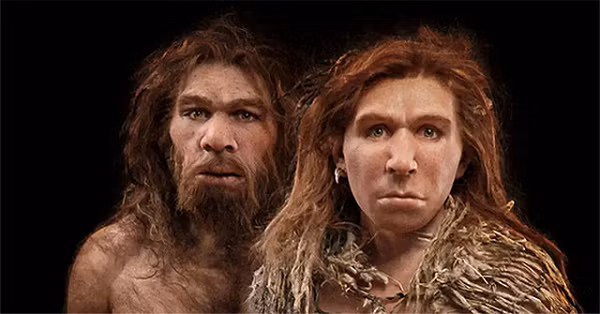 Chúng ta thuộc loài Homo sapiens, còn gọi là Người Hiện Đại hoặc Người Tinh Khôn, thuộc chi Người (Homo). Vào hơn 300.000 năm trước, khi loài Homo sapiens xuất hiện trên địa cầu, thế giới có ít nhất 8-9 loài khác thuộc chi Người.