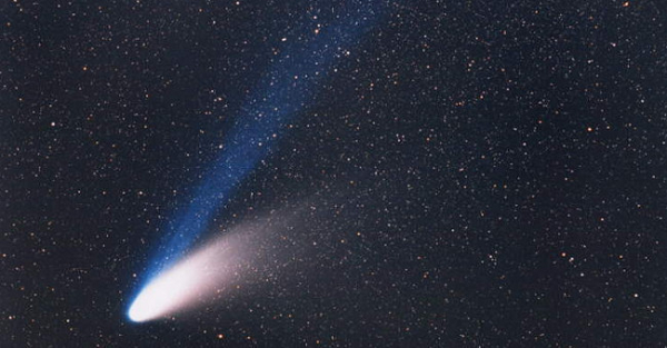 Hale-Bopp là một trong những sao chổi được nhiều người xem nhất trong lịch sử. Sao chổi Hale-Bopp sáng hơn 1.000 lần so với sao chổi Halley vào thời điểm phát hiện. Cái đuôi màu xanh lam nhạt pha trắng thậm chí có thể quan sát được ở những đô thị ô nhiễm ánh sáng như Chicago.