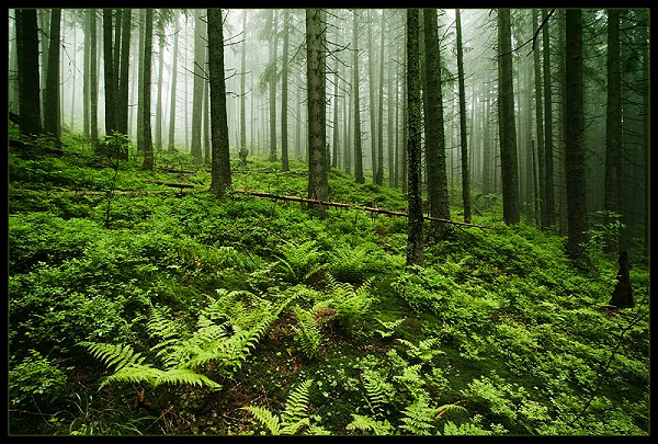 Một thời gian sau, họ gửi một trong những hòn đá kỳ lạ thu nhặt ở nơi bí ẩn cho một nhà địa chất học là Tiến sĩ Sinclair để phân tích thành phần. Nhà khoa học này cũng bối rối không biết chúng thuộc chủng loại đá nào. Phải chăng đây chính là nơi dẫn đến một thế giới song song?