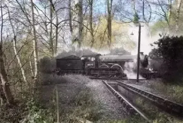 Tuy nhiên, khi thi thể của ông được khai quật, người ta phát hiện ra rằng hộp sọ của ông đã "không cánh mà bay". Sau nhiều lần tìm kiếm khó khăn, người thân của Gogol - sĩ quan hải quân Janowski đã tìm thấy chiếc đầu lâu thất lạc và đưa nó về Ý. Ngay sau đó, Janowski yêu cầu một sĩ quan Ý bàn giao hộp sọ cho một luật sư người Nga.