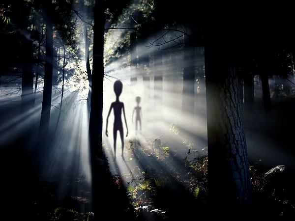 Hai cậu bé phát hiện vật thể bay có đường kính ước chừng 5 mét và cao 2 mét. Phần đáy có 3 bánh răng phục vụ cho việc hạ cánh. Toàn bộ bề mặt thân máy trông giống như một mảng bạc, hoặc như thép không gỉ. Trên thân máy có 5 ký tự được viết theo chiều ngang mà hai em chưa từng thấy trước đây.