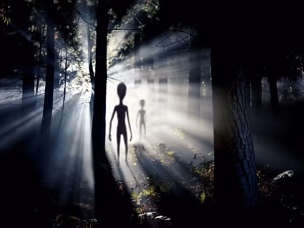 Hai cậu bé phát hiện vật thể bay có đường kính ước chừng 5 mét và cao 2 mét. Phần đáy có 3 bánh răng phục vụ cho việc hạ cánh. Toàn bộ bề mặt thân máy trông giống như một mảng bạc, hoặc như thép không gỉ. Trên thân máy có 5 ký tự được viết theo chiều ngang mà hai em chưa từng thấy trước đây.