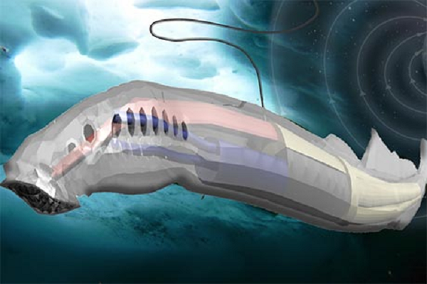 Sau giai đoạn I của dự án với khoản tài trợ 125.000 USD từ quỹ Các ý tưởng sáng tạo nâng cao (NIAC) của NASA nhằm nghiên cứu tính khả thi và các phương án thiết kết, nhóm của ông vừa nhận được thêm 600.000 USD cho giai đoạn 2 nhằm tạo ra các nguyên mẫu thực sự.