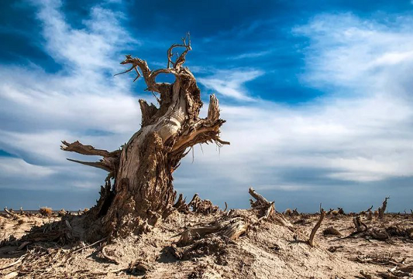 Nhiều người cho rằng, Bành Gia Mộc đã phát hiện được bí mật nào đó dẫn đến sự mất tích của mình. Có một tin đồn khác là vì hồ muối Lop Nur có thể "dịch chuyển" nên Bành Gia Mộc đã lạc vào một thế giới song song. Và không ít tin đồn cho rằng Bành Gia Mộc mất tích là do người ngoài hành tinh.