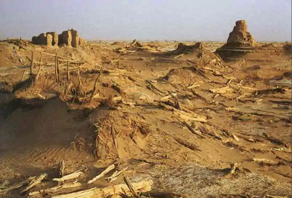 Sau vài giờ đồng hồ, họ vẫn chưa thấy đội trưởng quay về, cảm thấy có điều không ổn. Họ lập tức đi tìm nhưng không một ai tìm thấy Bành Gia Mộc, ông cứ biến mất một cách khó hiểu như vậy.