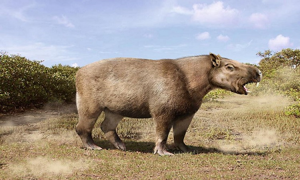 Do kích thước lớn hơn chuột lang ngày nay gấp 1.400 lần và nặng đến 700 kg, nên Goya đã gặp nhiều khó khăn trong việc tìm kiếm một khối lượng lớn thực phẩm để hấp thu.