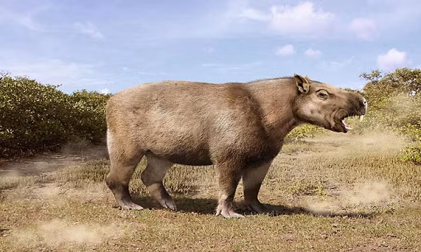 Do kích thước lớn hơn chuột lang ngày nay gấp 1.400 lần và nặng đến 700 kg, nên Goya đã gặp nhiều khó khăn trong việc tìm kiếm một khối lượng lớn thực phẩm để hấp thu.