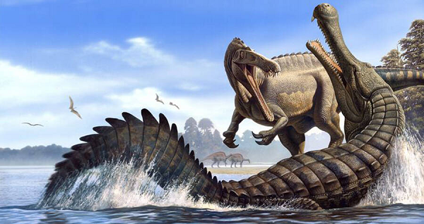 Không chỉ khủng long, hầu hết những thứ trong môi trường sống của con Deinosuchus schwimmeri khổng lồ này đều đi vào thực đơn của nó. Các nhà cổ sinh vật học còn tìm thấy dấu răng tương tự trên một số mai rùa khổng lồ cổ đại, một dấu vết rất khó lẫn lộn bởi khó có sinh vật nào có hàm răng kinh khủng như nó.