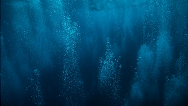 Thế nhưng hệ thống thủy nhiệt luôn nằm ở đáy đại dương, chỉ có thể nghiên cứu bằng các thiết bị điều khiển từ xa, nên các nhà khoa học vẫn cho rằng hiểu biết của nhân loại về hệ thống thủy nhiệt vẫn còn hạn chế.