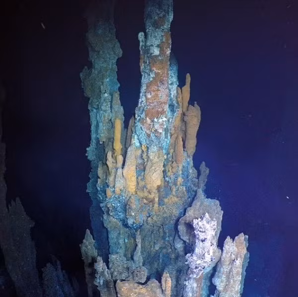 Nghiên cứu sâu hơn, các nhà khoa học phát hiện ra các lỗ thủy nhiệt không những vẫn "còn sống" mà hoạt động rất mạnh, nóng hơn bất cứ hệ thống thủy nhiệt nào được nghiên cứu trong khu vực suốt 30 năm qua.