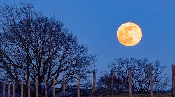 Hiện tượng này sẽ diễn ra vào lúc 0:55 (giờ Việt Nam).