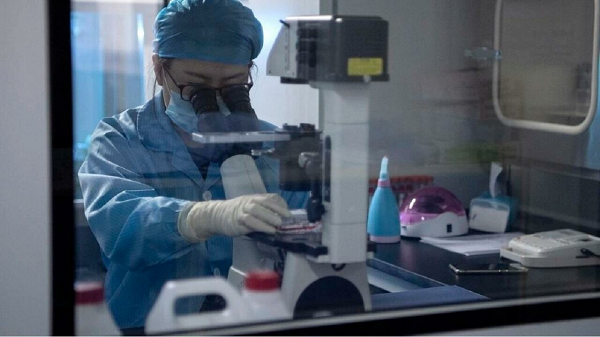 Các tế bào được đem ra thí nghiệm là tế bào da, chi cần bảo quản ở nhiệt độ âm không lớn là -30 độ C, thay vì phải bảo quản âm sâu tận -196 độ C như tế bào tinh trùng.