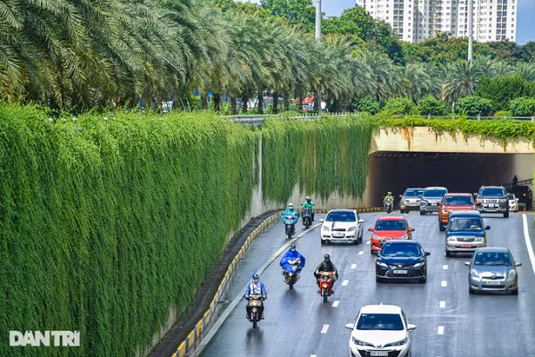 Đối với những người đi qua khu vực này thường xuyên, đây có thể coi là một điểm nhấn ấn tượng.