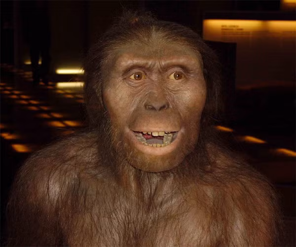 Sierra de Atapuerca là địa điểm từng biết đến như cái nôi của tổ tiên người tiền sử tại châu Âu. Vào năm 1994, các nhà khoa học đã phát hiện ra tàn tích của người tiền sử ở đây.