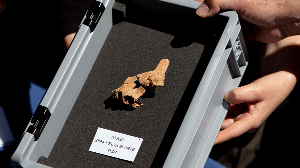 Tất cả những khám phá này đều nhằm làm sáng tỏ một trong những chương quan trọng của lịch sử loài người cổ xưa. Đó là làn sóng di cư ra khỏi châu Phi.