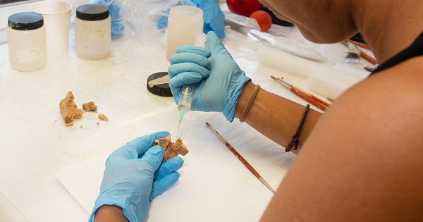 Phần xương mới phát hiện có thể thuộc về một cá nhân là thành viên của quần thể người đầu tiên sinh sống ở châu Âu. Người tinh khôn Homo Sapiens hiện đại về mặt giải phẫu đã tiến hóa ở châu Phi khoảng 300.000 năm trước.