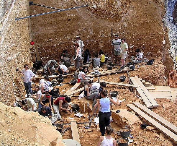 Mảnh vỡ của xương hàm trên và xương gò má này có niên đại khoảng 1,4 triệu năm và dường như đây là hoá thạch lâu đời nhất của tổ tiên loài người từng được phát hiện.