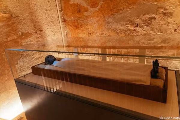 Cụ thể, họ đã cố gắng chụp X-quang một xác ướp Ai Cập đã 2.700 năm tuổi và đã tìm ra nguyên nhân dẫn đến cái chết của người phụ nữ này. Vai của cô bị co lại về một phía, đầu cũng như bị ép lại về phía hướng đó.