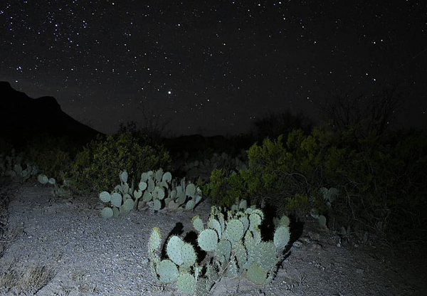 Một câu chuyện truyền miệng kể lại rằng, có những sinh vật hình người kỳ lạ viếng thăm ZoS. Chủ một trang trại sống gần đó cho biết ông đã gặp ba sinh vật hình người có mái tóc vàng, dài thượt, hai đực và một cái, tất cả đều nói trôi chảy tiếng Tây Ban Nha.