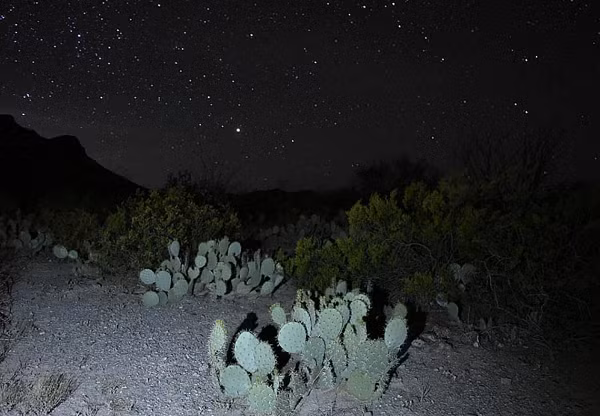 Một câu chuyện truyền miệng kể lại rằng, có những sinh vật hình người kỳ lạ viếng thăm ZoS. Chủ một trang trại sống gần đó cho biết ông đã gặp ba sinh vật hình người có mái tóc vàng, dài thượt, hai đực và một cái, tất cả đều nói trôi chảy tiếng Tây Ban Nha.