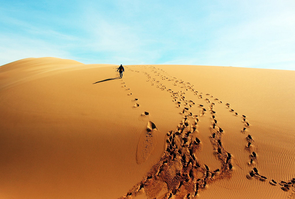 Vụ mất tích bí ẩn này được ghi lại trong cuốn sách kinh điển Wild Talents của Charles Fort. Cụ thể, Ngày 24/7/1924, hai phi công thuộc Không quân Hoàng gia Anh là William Conway Day và Douglas Ramsay Stewart thực hiện chuyến bay trinh sát thường lệ từ một căn cứ không quân ở Iraq.