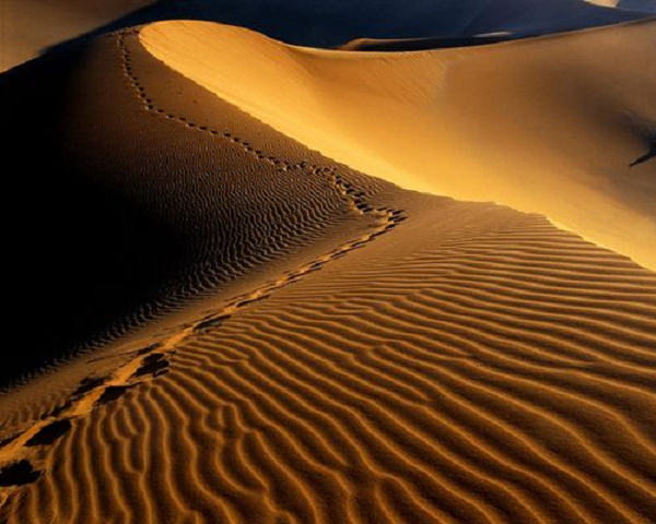 Cũng có người cho rằng Day đã bị thương nhẹ khi hạ cánh (vết máu được tìm thấy trên máy bay) và khi hai người lên đường đến nơi an toàn, anh ta đã kiệt sức và gục ngã.