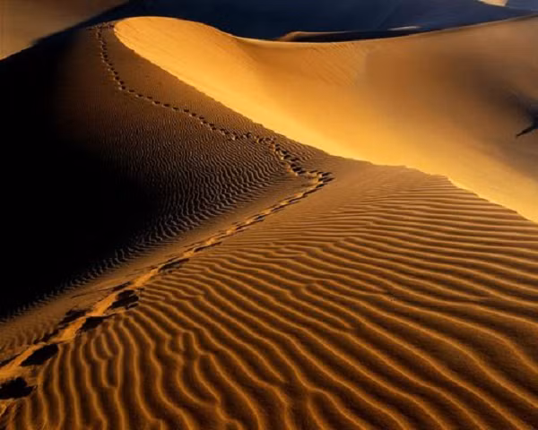 Cũng có người cho rằng Day đã bị thương nhẹ khi hạ cánh (vết máu được tìm thấy trên máy bay) và khi hai người lên đường đến nơi an toàn, anh ta đã kiệt sức và gục ngã.