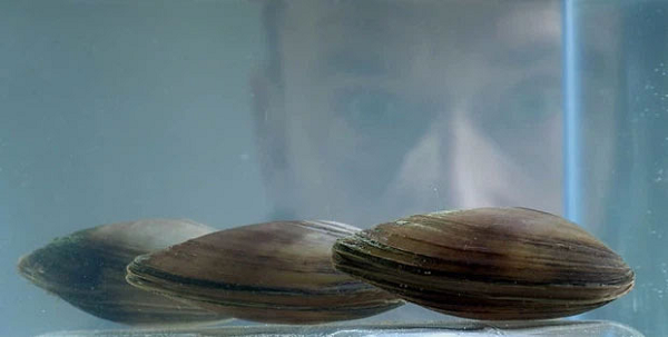 Tại đây nước được xử lý bởi rất nhiều công đoạn và máy móc phức tạp nhằm đảm bảo rằng nước được bơm qua các đường ống của thành phố đủ an toàn để uống mà không chứa các hóa chất có hại cho sức khỏe.