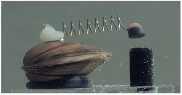 Nhà máy xử lý nước Dębiec ở Poznań, một thành phố ở phía tây của Ba Lan là nơi chịu trách nhiệm cung cấp nước sạch tới các hộ dân trong thành phố.