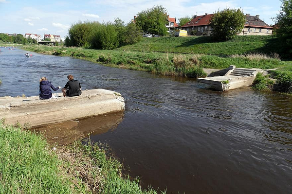 Việc sử dụng trai để đo đạc hệ thống cấp nước tự động đã được thử nghiệm tại Viện Bảo vệ Nguồn nước tại Đại học A. Mickiewicz và thu về được những kết quả khá khả quan.