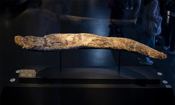 Dựa vào những khám phá tại di chỉ, cũng như các điểm tương đồng trong nghệ thuật và kỹ thuật chế tác, các chuyên gia cho rằng, rất có thể nền văn hoá Tam Tinh Đôi đã được kết nối với những nền văn hoá khác.