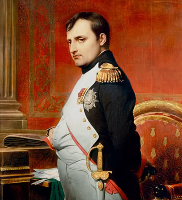 Ít ai có thể ngờ được rằng, nhà cầm quân lừng danh thế giới Napoleon rất sợ mèo. Bên cạnh đó, khi còn nhỏ, hoàng đế Napoleon rất giỏi môn Toán.