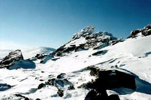 Điều đáng ngạc nhiên hơn là khi khám nghiệm thi thể của các nạn nhân, người ta thấy trên lớp da của họ có những vạch đỏ rất khác thường. Do đó có thể khẳng định họ đã bị thương từ bên trong và bị xuất huyết.