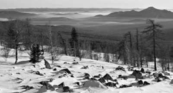 Có phỏng đoán rằng có thể đoàn người đã bị sét đánh hay bị đĩa bay tấn công. Tuy nhiên, cũng có người cho rằng, họ đã bỏ mạng vì thâm nhập vào đúng nơi đã diễn ra các cuộc thử nghiệm vũ khí. Tuy nhiên, không ai chứng minh được các giả thiết này.