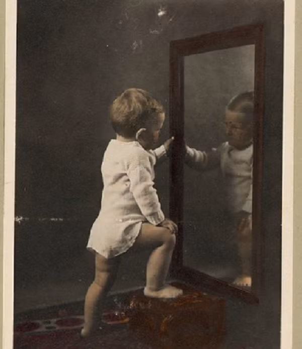 Theo tài liệu nghiên cứu, gỗ cây coura chứa một loại chất cực độc, khi hứng luồng ánh sáng tự nhiên càng mạnh rọi vào thì chất độc từ gỗ bay hơi tạo thành luồng khí độc càng nhiều. Khí này khiến mạch máu của não người hít phải ngay lập tức bị tắc nghẽn, nứt vỡ rồi nhanh chóng tràn máu lên não và chết ngay sau đó.