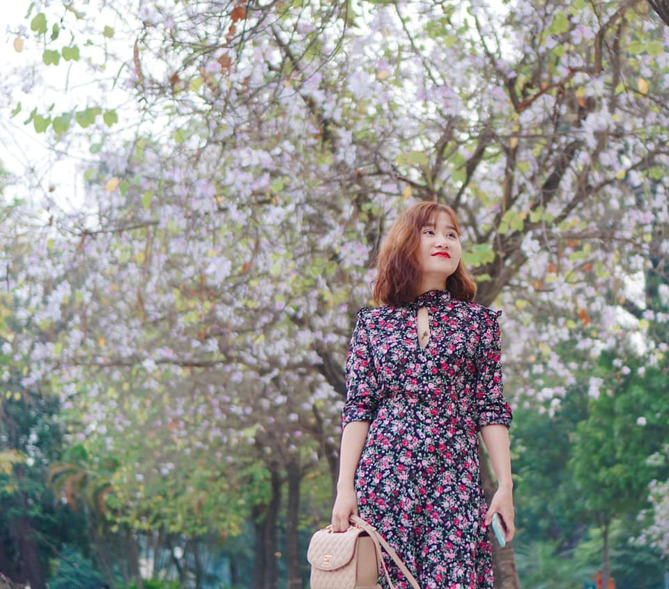 Hoa ban cũng mang trong mình ý nghĩa về một tình yêu chung thuỷ son sắt. Toàn bộ câu chuyện sự tích hoa ban được thể hiện trong bài hát "Hoa ban trắng" của cố nhạc sỹ Trần Lập. Cho đến tận ngày nay, vẻ đẹp của hoa ban vẫn nguyên vẹn và người ta vẫn chưa bao giờ quên đi sự tích của hoa ban và tình yêu son sắt, chung thuỷ của nàng Ban thuở xưa. Ảnh: Hồng Phượng