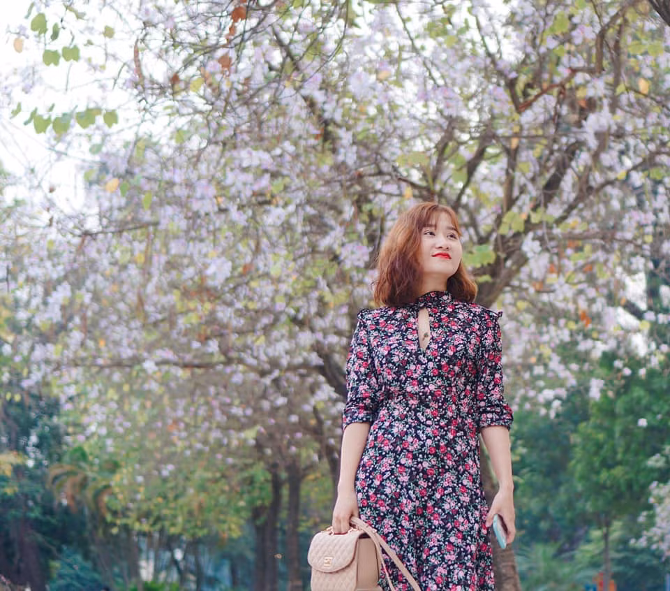 Hoa ban cũng mang trong mình ý nghĩa về một tình yêu chung thuỷ son sắt. Toàn bộ câu chuyện sự tích hoa ban được thể hiện trong bài hát "Hoa ban trắng" của cố nhạc sỹ Trần Lập. Cho đến tận ngày nay, vẻ đẹp của hoa ban vẫn nguyên vẹn và người ta vẫn chưa bao giờ quên đi sự tích của hoa ban và tình yêu son sắt, chung thuỷ của nàng Ban thuở xưa. Ảnh: Hồng Phượng