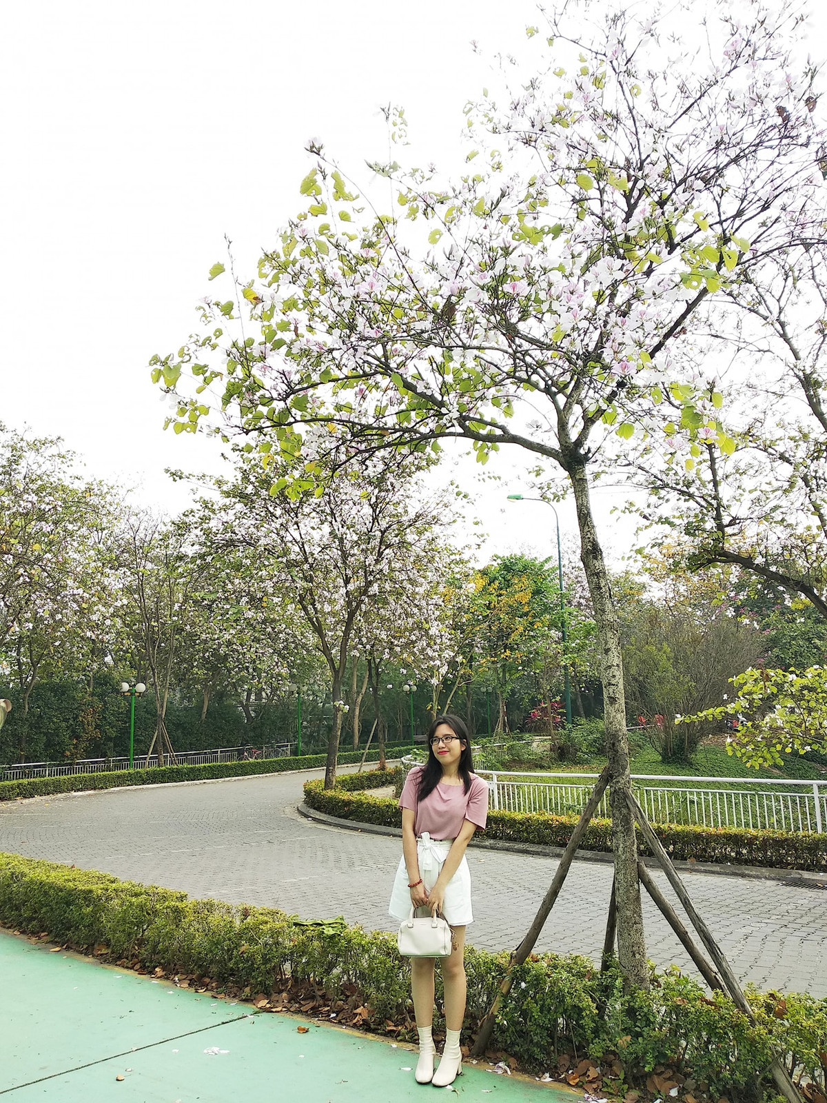 Những cánh hoa ban tím nở rộ giữa bầu trời Thủ đô thu hút giới trẻ Hà thành. Ảnh: BHa Ng