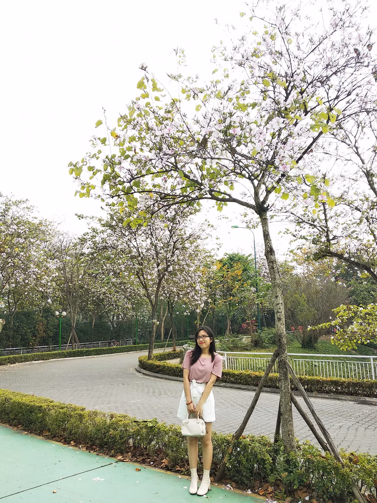 Những cánh hoa ban tím nở rộ giữa bầu trời Thủ đô thu hút giới trẻ Hà thành. Ảnh: BHa Ng