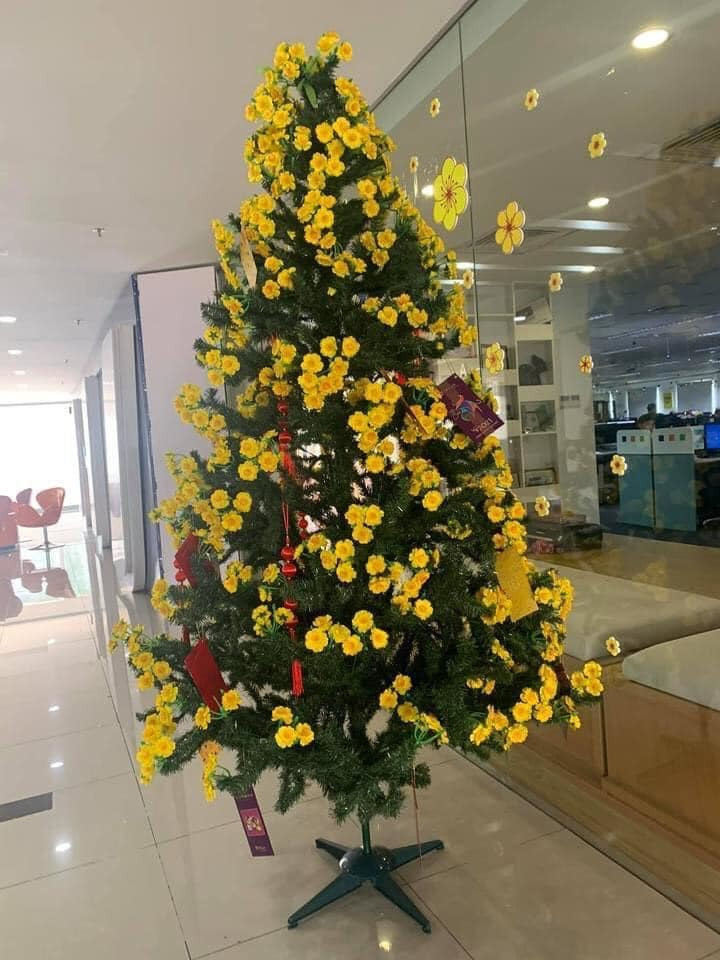 Do năm nay dịch bệnh khiến kinh tế khó khăn, thay vì sắm mai vàng, quất cảnh, cành quất thì công ty quyết định tận dụng ngay cây thông từ hôm Noel cùng hàng loạt bông mai giả gắn lên. Ảnh: P.T